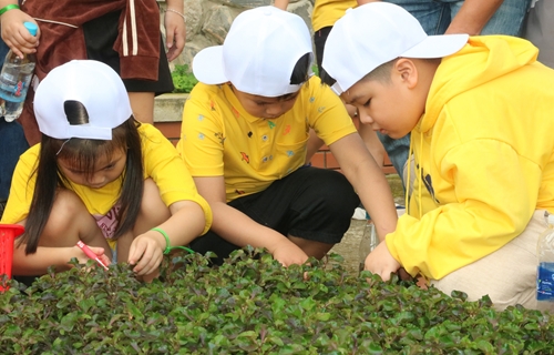 Hơn 300 học sinh tiểu học trải nghiệm nông nghiệp hữu cơ