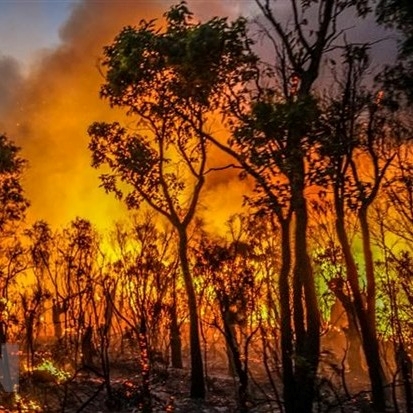 Cháy rừng và ô nhiễm không khí nghiêm trọng chưa từng có tại Lào