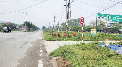Sớm có phương án khai thác quỹ đất dọc đường Võ Văn Kiệt