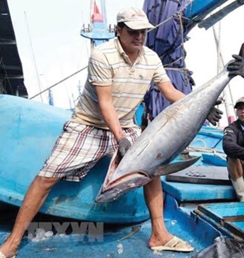 ASEAN Thiết lập chính sách nghề cá chung để tăng cường an ninh lương thực