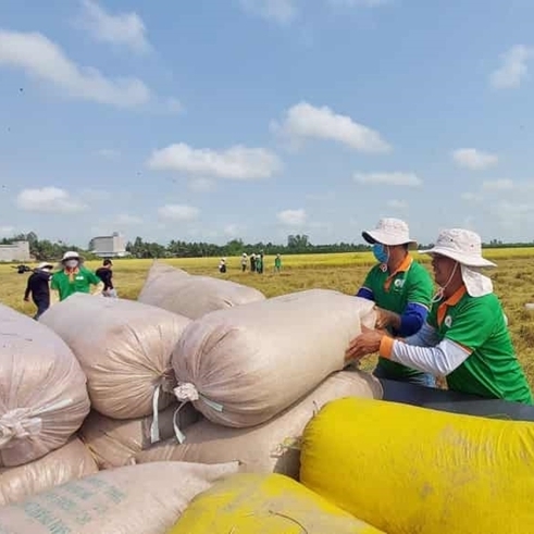 Gạo Việt Nam thêm cơ hội xuất sang thị trường Indonesia