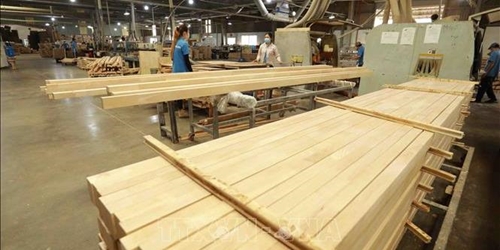 Dự báo doanh nghiệp ngành gỗ phục hồi trong năm 2024