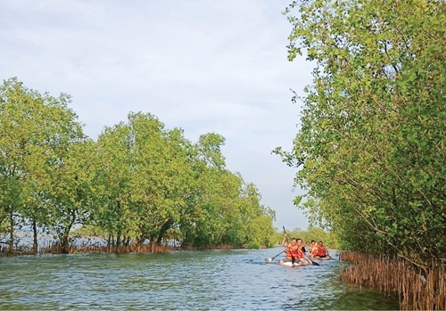 Người dân cần đồng thuận để trồng rừng ngập mặn ở xã Quảng Lợi