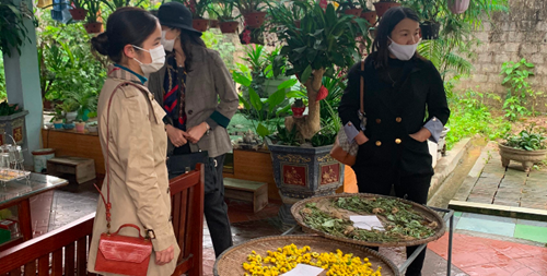 Bác sĩ Trần Bảo Quốc phát triển vườn dược liệu cung cấp cho người dân Quảng Bình