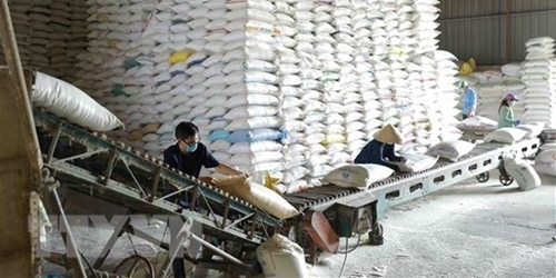 Giá gạo Việt Nam tăng lên mức cao nhất kể từ cuối tháng 4 2023