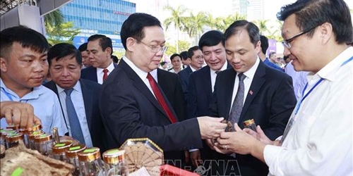 Chủ tịch Quốc hội dự Hội nghị công bố quy hoạch và xúc tiến đầu tư vào Hà Tĩnh