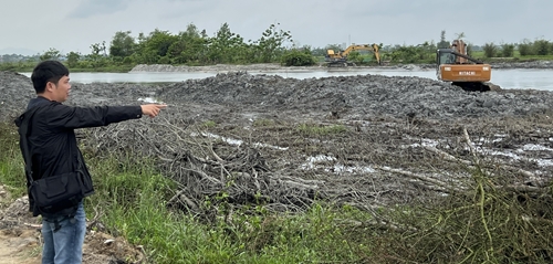 Vụ san ủi 0,72ha rừng ngập mặn ở Quảng Phước Cho phép thi công trở lại sau khi hoàn trả giá trị đầu tư