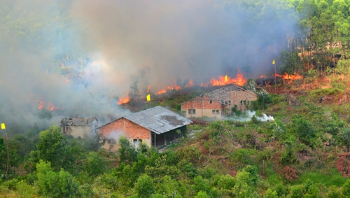 Gần 1 000 người tham gia diễn tập phòng cháy, chữa cháy rừng và tìm kiếm cứu nạn