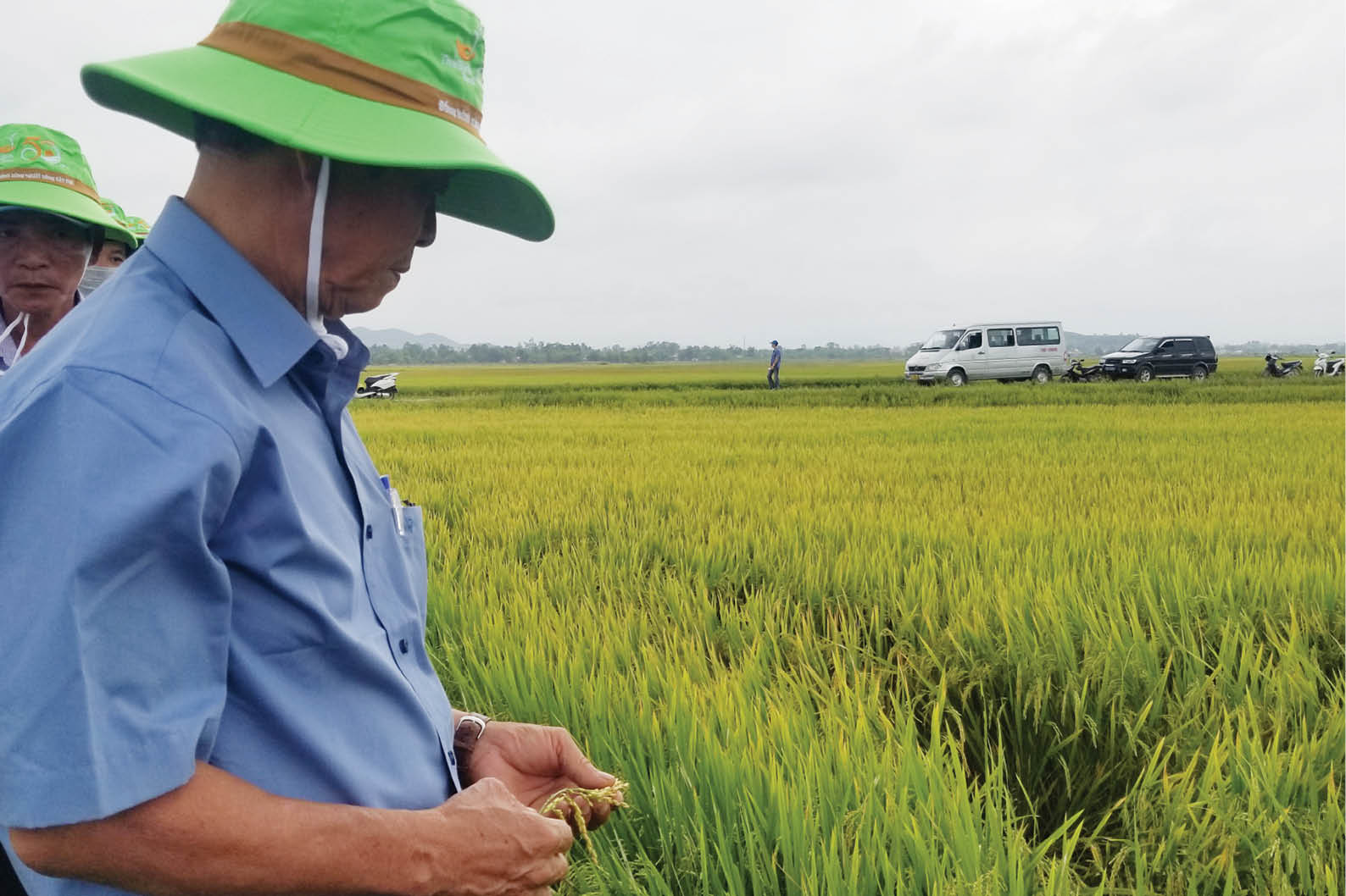 Liên kết sản xuất theo chuỗi để nâng cao giá trị sản phẩm  Cổng Thông Tin  Điện Tử Phú Thọ