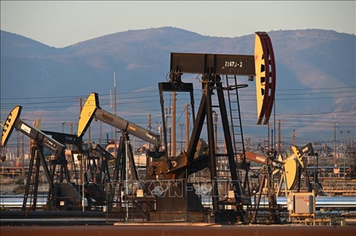 Giá dầu WTI và Brent cao nhất trong gần hai tuần
