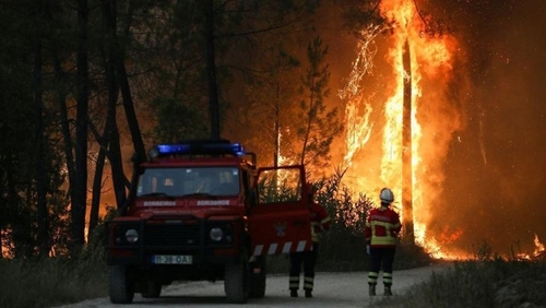 Sóng nhiệt nguy hiểm tấn công toàn cầu khi cháy rừng hoành hành