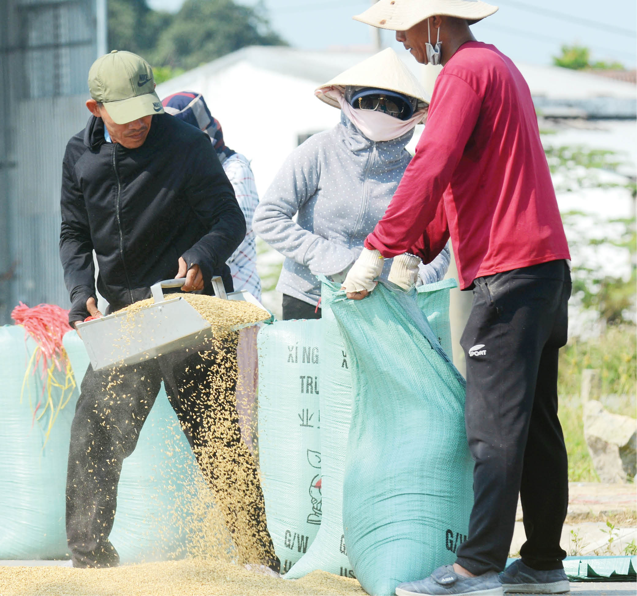 Hội thảo giải pháp phát triển 1 số mô hình phi nông nghiệp theo chuỗi liên  kết sản xuất trên địa bàn tỉnh