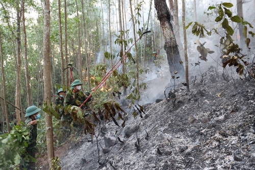 Huy động hàng trăm cán bộ, chiến sĩ khẩn trương chữa cháy rừng