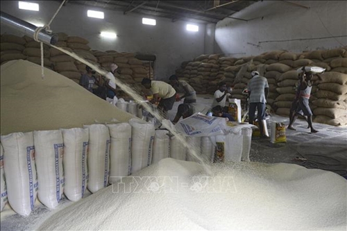 Dự trữ gạo Ấn Độ gấp 3 lần mục tiêu, giảm lo ngại về nguồn cung
