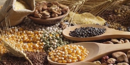 FAO Thỏa thuận Biển Đen sụp đổ làm tăng giá lương thực toàn cầu tháng 7