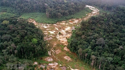 Hội nghị thượng đỉnh Amazon tìm kiếm lộ trình cứu lá phổi của thế giới