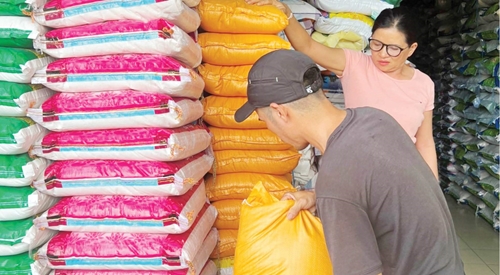 Thị trường lúa, gạo Huế vẫn trong tầm kiểm soát