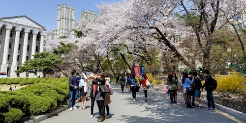 Hàn Quốc công bố kế hoạch thu hút 300 000 sinh viên nước ngoài