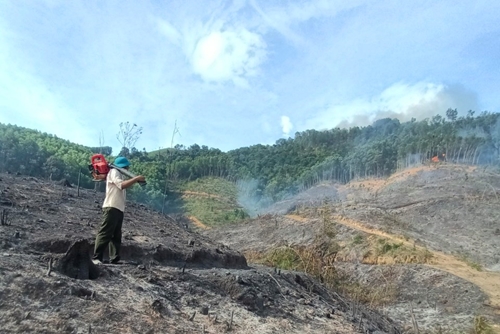Gian nan chữa cháy rừng tại tiểu khu 162