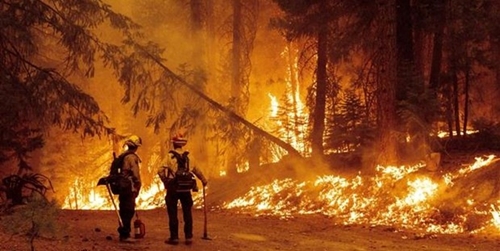 Biến đổi khí hậu làm tăng 25 nguy cơ cháy rừng dữ dội