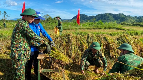 Giúp người dân vùng biên giới thu hoạch lúa