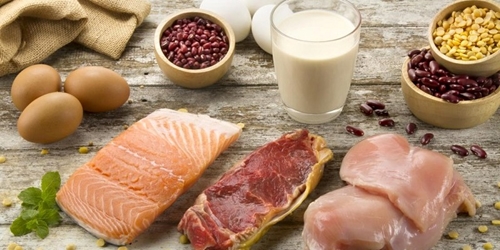 Các sản phẩm thay thế thịt, sữa có thể làm giảm 1 3 lượng khí thải từ hệ thống thực phẩm