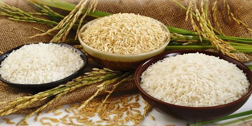Ấn Độ sẽ hạ giá sàn cho gạo basmati xuất khẩu