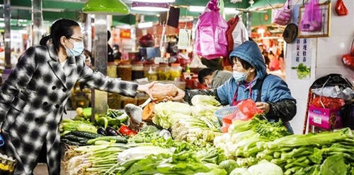 IMF cảnh báo thị trường hàng hóa bị phân mảnh gây nguy hiểm cho an ninh lương thực, chuyển đổi xanh