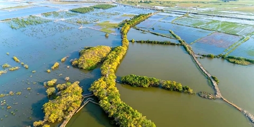 Ra mắt mô hình bảo tồn thiên nhiên trên phá Tam Giang