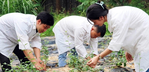 Xây dựng chương trình đào tạo thạc sĩ sinh thái nông nghiệp tại Đại học Huế