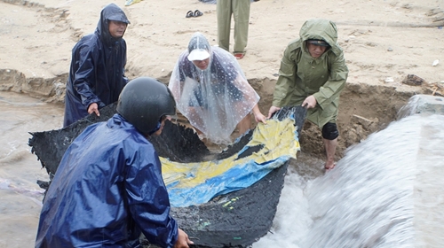 Bí thư Huyện ủy Phú Vang kiểm tra và chỉ đạo khắc phục tình trạng sạt lở bờ biển tại Phú Diên
