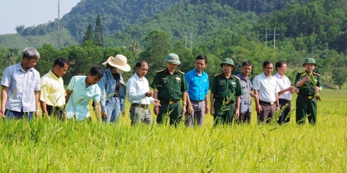 Tập huấn kỹ thuật trồng lúa nước cho người dân vùng cao