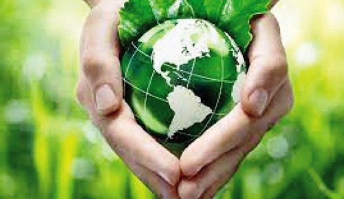 COP28 thúc đẩy tài chính và đoàn kết toàn cầu vì rừng và Đại dương
