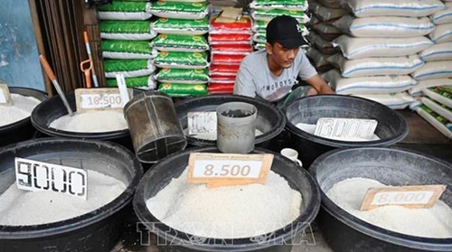 Indonesia kêu gọi quân đội hỗ trợ nông dân trồng lúa