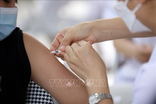 Việt Nam đang dự trữ hơn 400 000 liều vaccine COVID-19