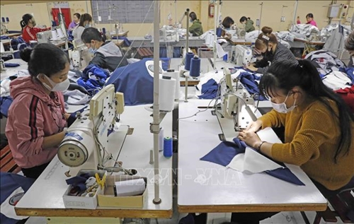Tạo hệ sinh thái cho ngành dệt may tận dụng hiệu quả các FTA