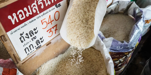 Giá gạo chạm mốc cao nhất 15 năm do nhiều lo ngại về nguồn cung