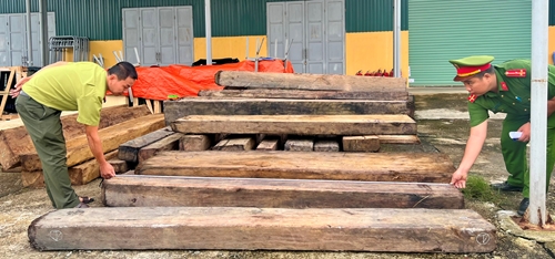 Phát hiện 51 phách gỗ trái phép tại xã Quảng Thành