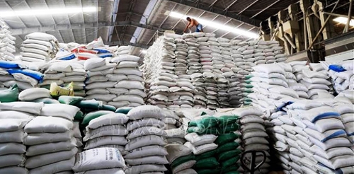 Nikkei Asia Xuất khẩu gạo Việt Nam và Thái Lan tăng mạnh