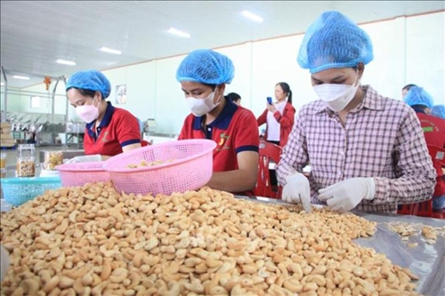 Thông luồng  xuất khẩu nông sản Việt
