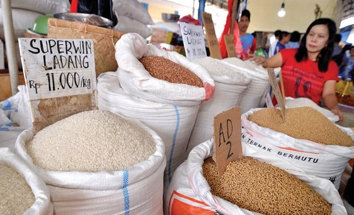 Indonesia mở thầu mua 500 000 tấn gạo