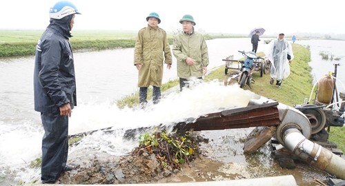 1 730 ha lúa ở Phú Vang bị ngập do ảnh hưởng mưa, lạnh