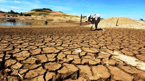 Hội Chữ thập đỏ cảnh báo biến đổi khí hậu sẽ gây ra rủi ro nhân đạo ở châu Á