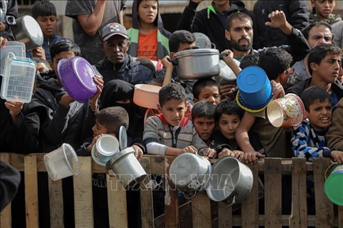 Vận chuyển thực phẩm tới phía bắc Dải Gaza tạm dừng, gia tăng nguy cơ nạn đói