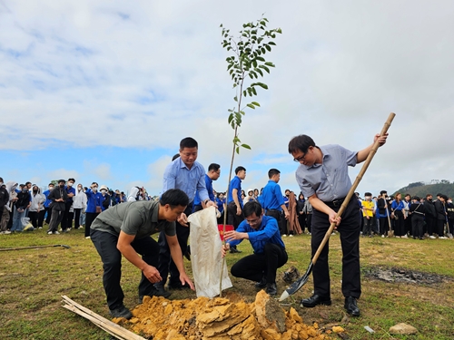 Đại học Huế trồng 1 000 cây xanh hưởng ứng Tết trồng cây