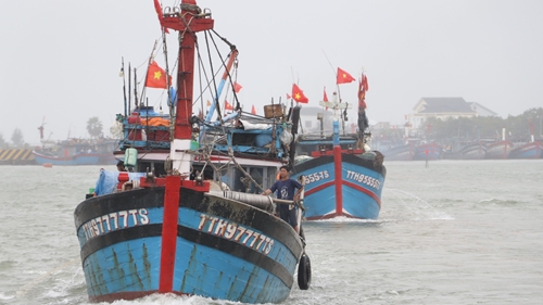 Ngư dân Phú Hải xuất quân vươn khơi