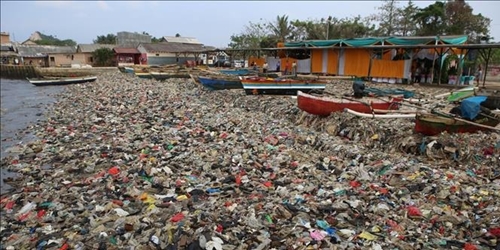 Năm 2023, thế giới đã gây ra 2,3 tỷ tấn rác thải đô thị