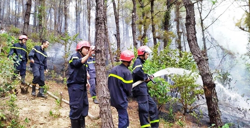 Chủ động ứng phó nguy cơ cháy rừng