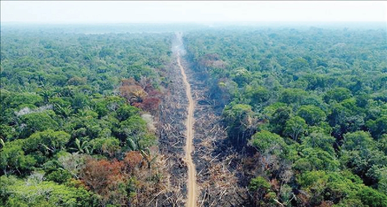 Brazil và Pháp ra mắt chương trình bảo vệ rừng nhiệt đới Amazon