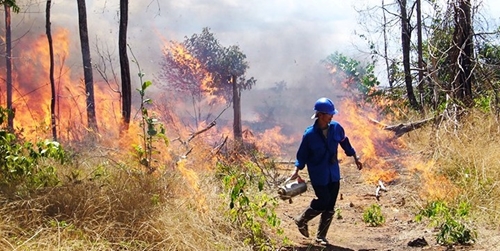 Cháy rừng kỷ lục tấn công Venezuela